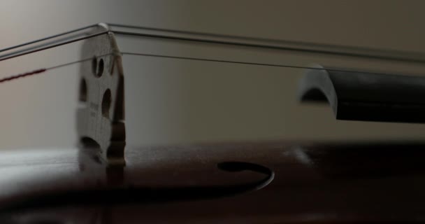 Viola Violino Detalhe Próximo Ponte Cordas — Vídeo de Stock