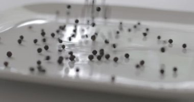 Biberler yemek malzemesi olarak bir tabağa konur..