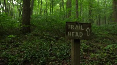 Yol başlığı işareti ormanın içinde bir patikanın yanında duruyor.