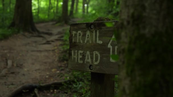 Szlak Znak Głowy Siedzi Obok Ścieżki Przez Las — Wideo stockowe