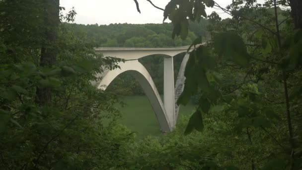 テネシー州のナチェズ トレース パークウェイ橋は森林谷の上に二重アーチがある — ストック動画