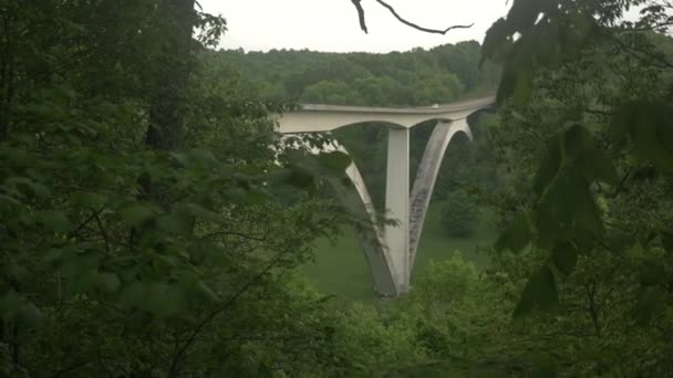 テネシー州のナチェズ トレース パークウェイ橋は森林谷の上に二重アーチがある — ストック動画
