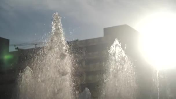 Water Fountain City Gushes Sunrise Morning Light — Stock Video