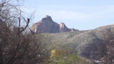Arizona 'daki dağın tepesinde, dağ yamacında kaktüsler ve ön planda ağaçlar var.