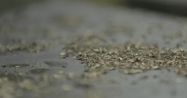 Bir Fabrikanın Yüzeyinde Pirinç Metal Talaşı — Stok video