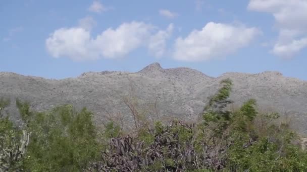 Suche Góry Poza Tucson Arizonie — Wideo stockowe