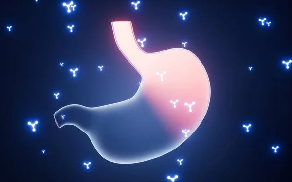 Mide hastalığı için ilaç, moleküller ve mide, 3 boyutlu görüntüleme. Bilgisayar dijital çizimi.