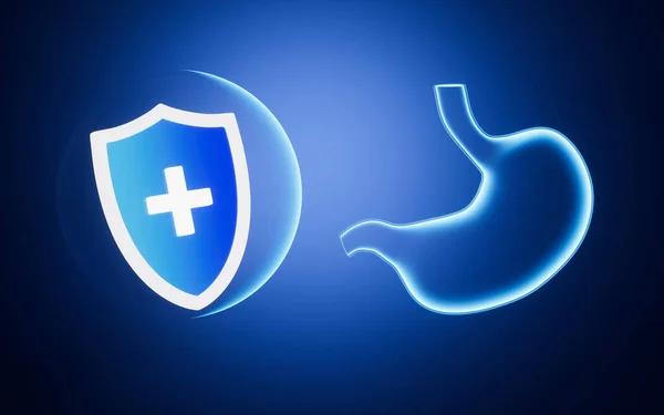 Escudo Estómago Brillante Con Fondo Azul Representación Dibujo Digital Informático —  Fotos de Stock