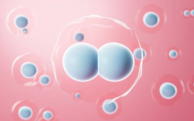Blue cell division with pink background, 3d rendering. Computer digital drawing.