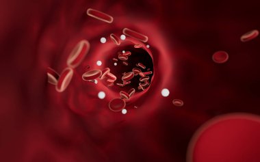 Red and white blood cells in blood vessels, 3d rendering. Computer digital drawing.