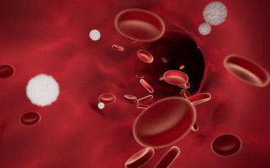 Red and white blood cells in blood vessels, 3d rendering. Computer digital drawing.