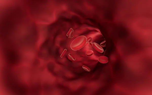 Red blood cells flowing through blood vessels, 3d rendering. Computer digital drawing.