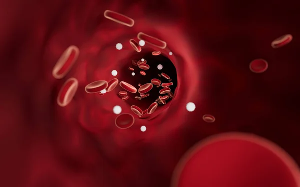 Red and white blood cells in blood vessels, 3d rendering. Computer digital drawing.