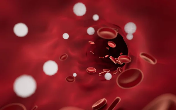 Красные Белые Кровяные Тельца Кровеносных Сосудах Рендеринг Цифровой Рисунок — стоковое фото