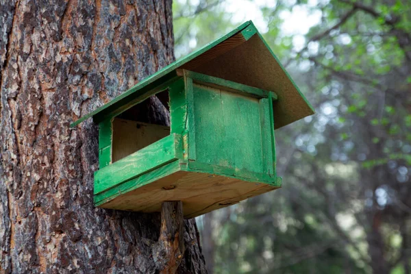 Wooden Bird Feeder Summer Forest Caring Environment — Zdjęcie stockowe