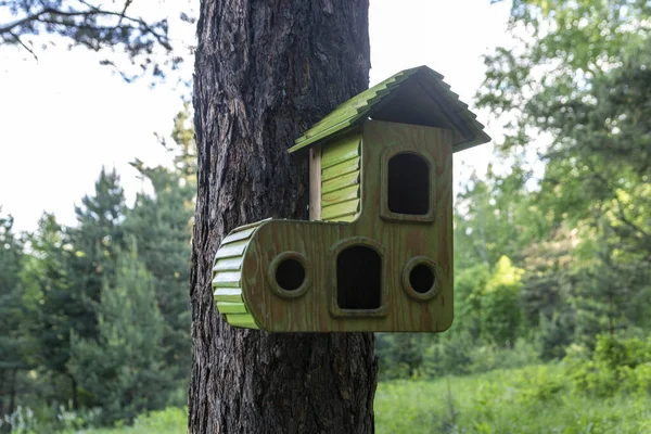 Wooden Bird Feeder Summer Forest Caring Environment — Zdjęcie stockowe