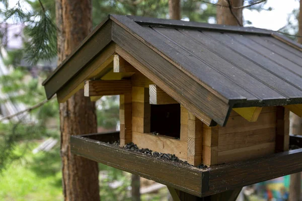 Alimentador Aves Madera Bosque Verano Cuidado Del Medio Ambiente — Foto de Stock