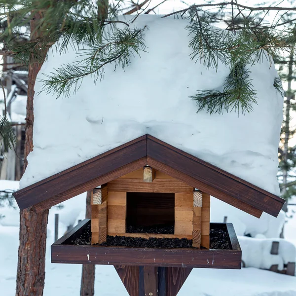 Wooden Bird Feeder Winter Forest Caring Environment — Stockfoto