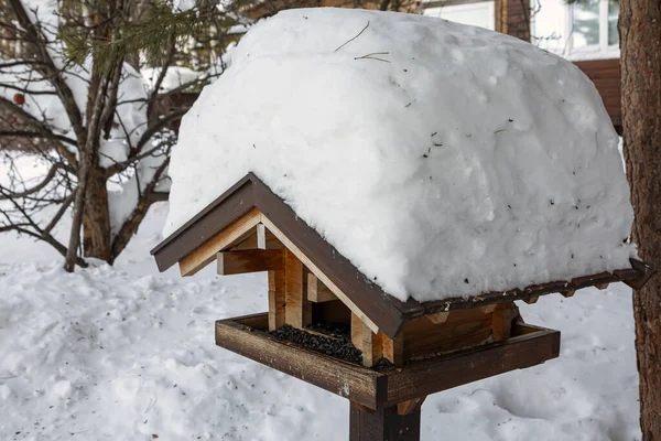 Wooden Bird Feeder Winter Forest Caring Environment — Zdjęcie stockowe