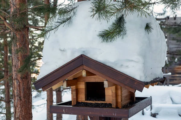 Wooden Bird Feeder Winter Forest Caring Environment — Zdjęcie stockowe