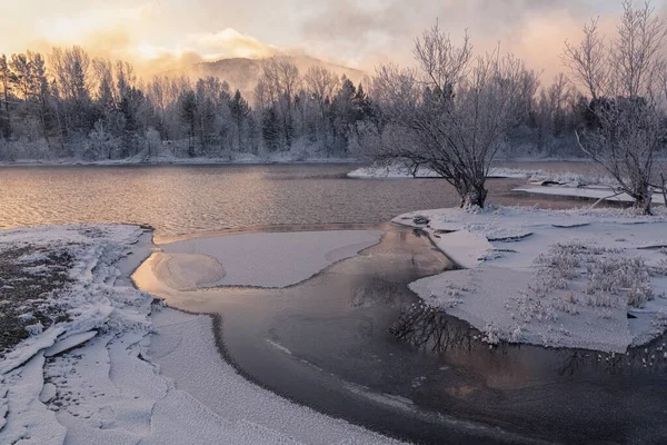 Winter Landscape River Icy Banks Lonely Tree — Stock Photo, Image