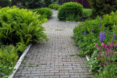 Alley in the park, flower beds with perennial plants, bushes and trees. Landscaping.