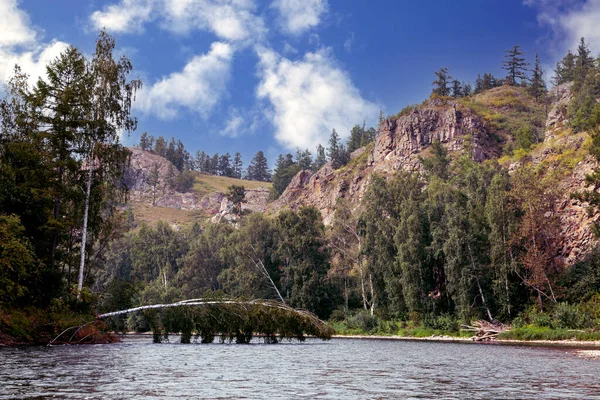 Río Montañas Boscosas Largo Sus Orillas Paisaje Verano Viajes Senderismo — Foto de Stock