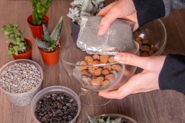 Kız cam bir floraryuma leziz şeyler nakletmekle meşgul. Hobiler, ev çiçekleri.