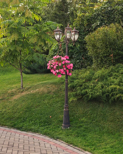 Fragment Landscape Design Park Vintage Lantern Flowerpot Petunia Hanging — Stock Photo, Image