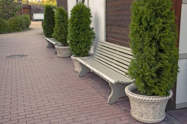 Küvet ve banklarda ağaçlar olan parktaki Paved sokağı.