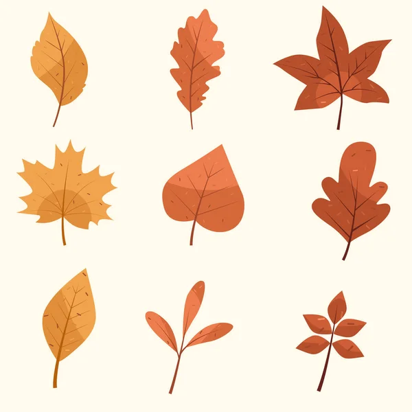 Autumn Leaves Collection Fall Leaves Flat Vector Illustration — Stockvektor