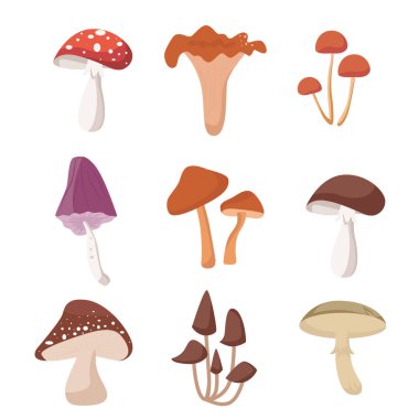 Düz stil mantar seti. Vektör illüstrasyonu