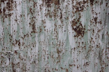 Eski açık yeşil, yıpranmış metal yüzey paslı lekeler, duvar kağıdı için model arka plan dokusu