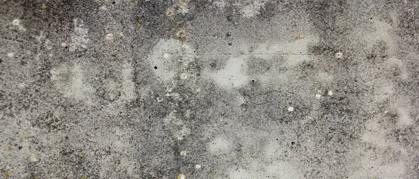 Gri lekeli eski kuru beton duvar ve yosun arkaplan dokusuyla birleştirilmiş eğimli bir dikiş.