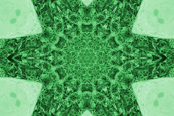 Caleidoscópio Grama Verde Fresca — Fotografia de Stock