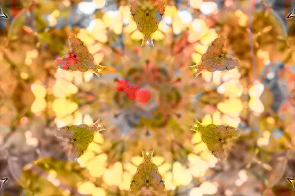 Светло Жёлтый Калейдоскоп — стоковое фото