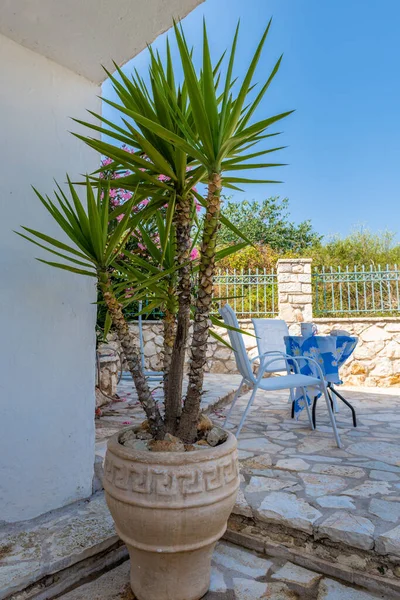 Facade Old Greek Village House White Washed Wall Decorated Potted — Stock Photo, Image