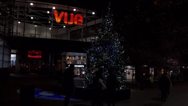 London 2021 Ein Festlicher Weihnachtsbaum Auf Der Einkaufsstraße Abend Mit — Stockvideo