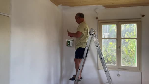 Homme Sur Une Échelle Effectuant Amélioration Maison Avec Peinture Décoration — Video