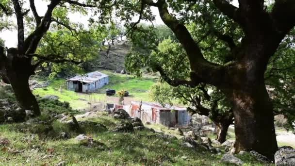 Pobre Fora Grade Correr Para Baixo Fazenda Casa Lado Montanha — Vídeo de Stock