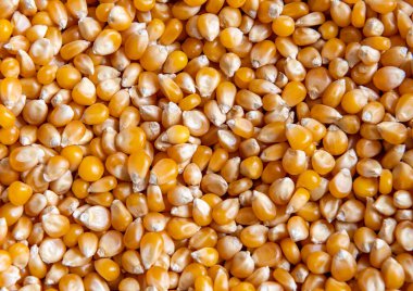 Bir yığın patlamış mısırın yakınında..