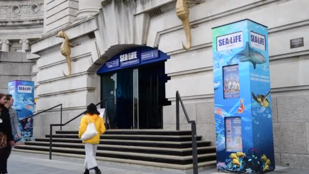 Лондон Велика Британія 2021 Відвідувачі Туристи Повертаються Популярного Атракціону Sea — стокове відео