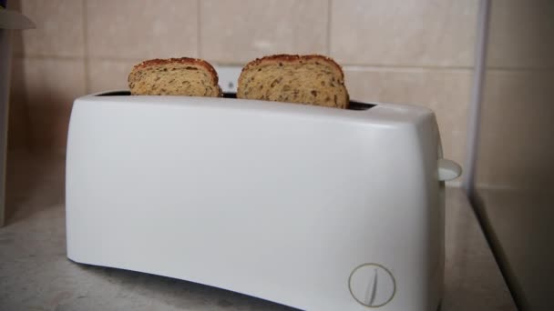 Electric Toaster Two Pieces Toasted Sliced Bread Energy Use Cost — Vídeos de Stock