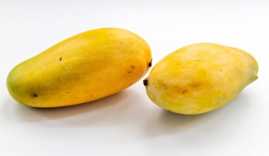 Sweet Egyptian mangos isolated in white background.