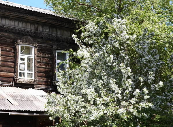 Vintage Ξύλινα Παράθυρα Δαντελωτή Ξύλινη Αρχιτεκτονική Του Tomsk — Φωτογραφία Αρχείου