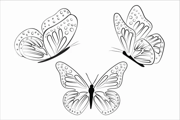 Monarch Butterfly Hand Drawn Set Black White Background — Stock Vector