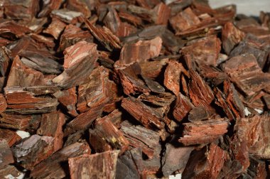 Ağaç, orkideler için toprak, çam kabuğu, çam kabuğu, hazır ağaç kabuğu. 