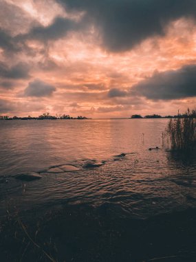Sonbahar ormanında sabah erkenden mükemmel bir yol.