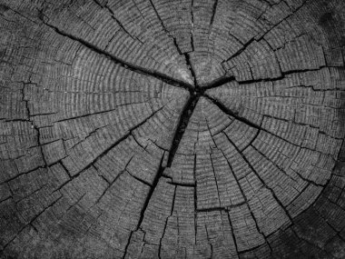 Eski ahşap arka plan gri