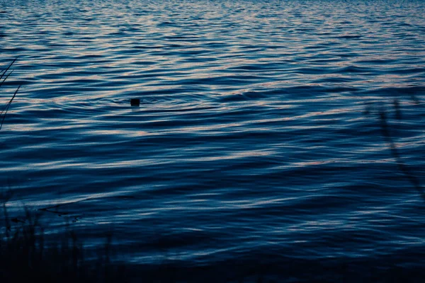 Спокойные Воды Побережья Мексиканского Залива Местного Пляжа — стоковое фото